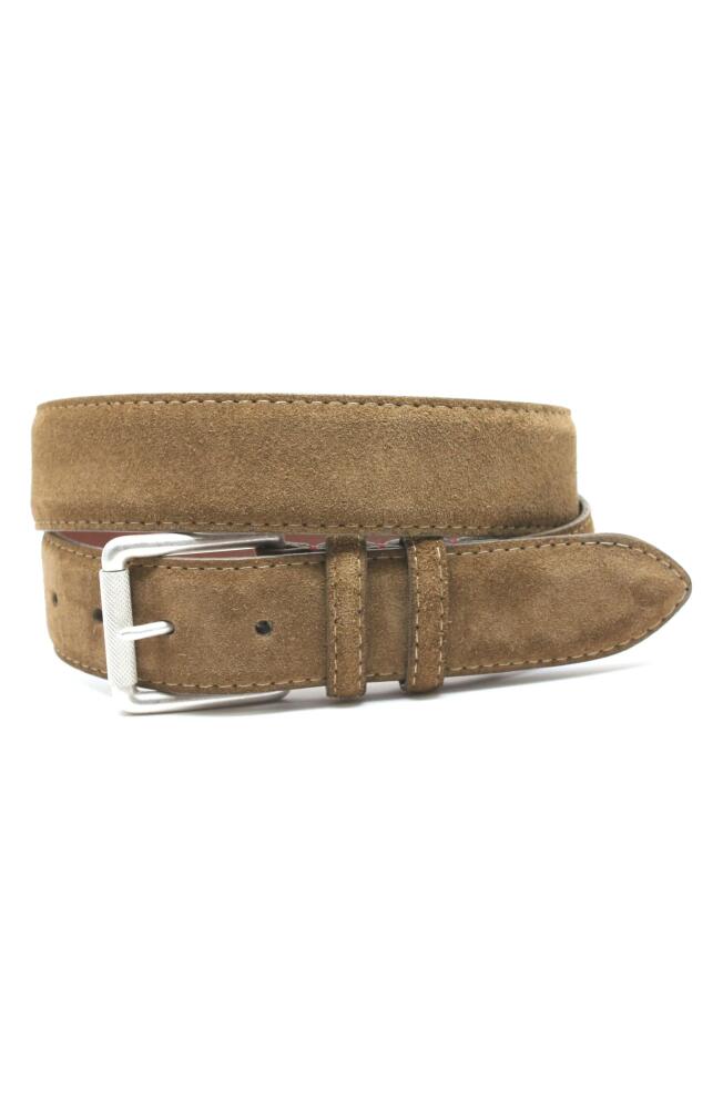 Torino Suede Belt in Whiskey Cover