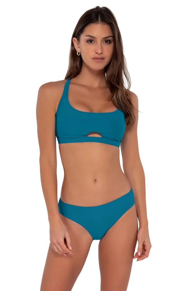 Sunsets Brandi Bralette-DD-Cup in Avalon Teal Cover