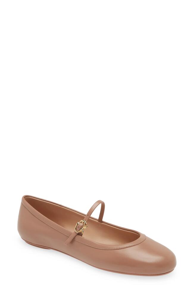 Gianvito Rossi Carla Mary Jane Ballet Flat in Praline Cover