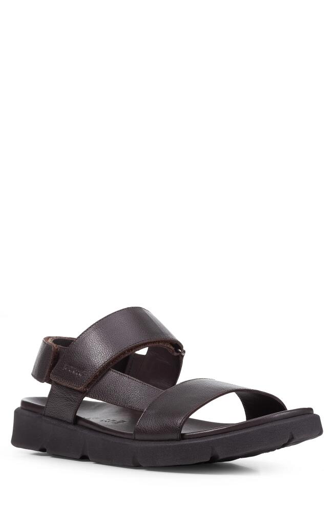 Geox Xand 2s Sandal in Brown Cotto Cover