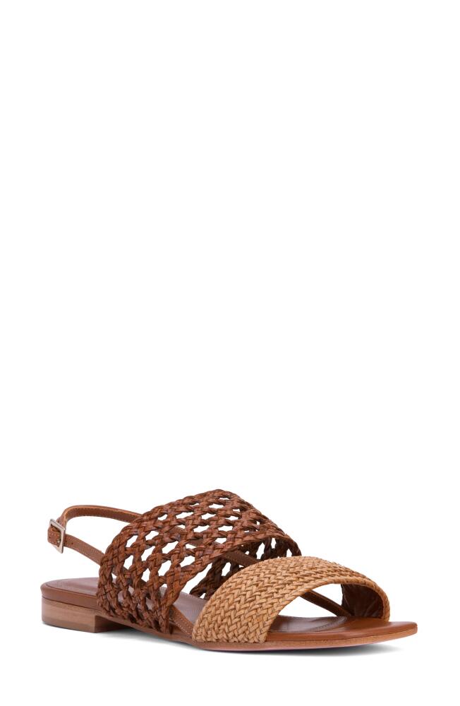 BEAUTIISOLES Alana Sandal in Brown Cover