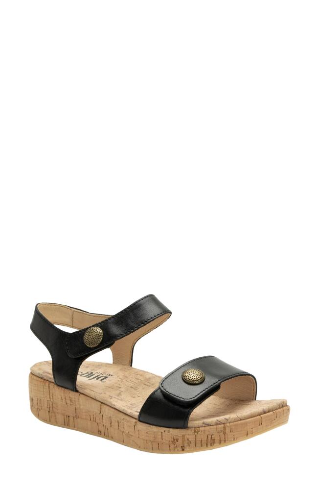 Alegria by PG Lite Marta Ankle Strap Platform Wedge Sandal in Ink Cover