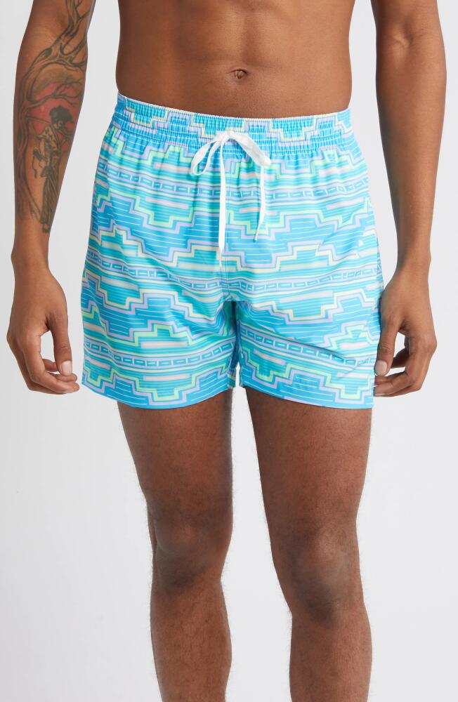 Chubbies The Apex Swimmers Swim Trunks in Turquoise/aqua Cover