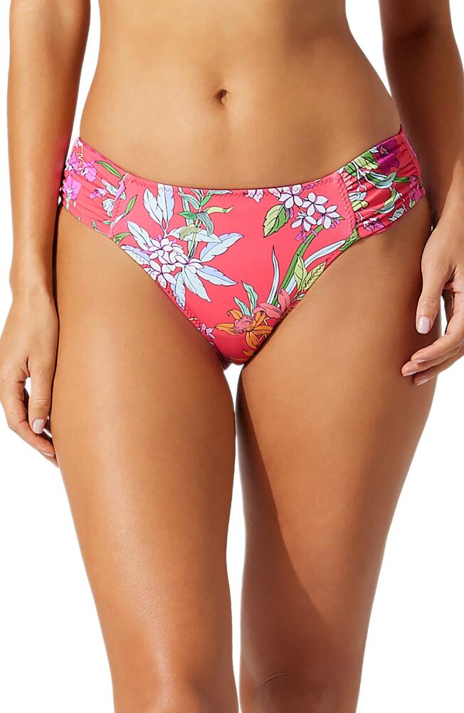 Tommy Bahama Summer Floral Reversible Hipster Bikini Bottoms in Passion Pink Cover