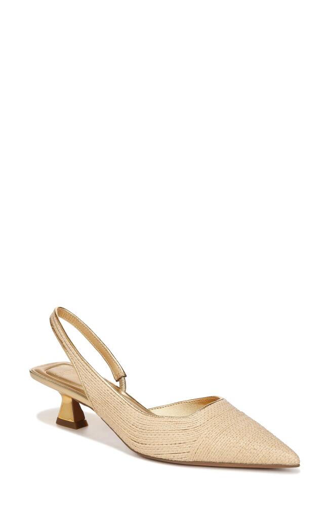 SARTO by Franco Sarto Devin Kitten Heel Slingback Pump in Natural Cover