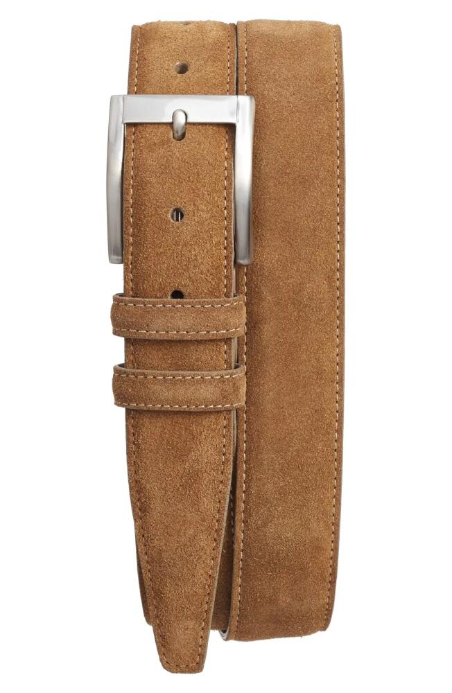 Torino Suede Belt in Whiskey Cover