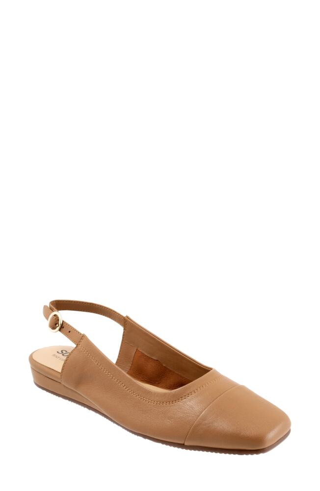 SoftWalk® Vittoria Slingback Flat in Tan Cover