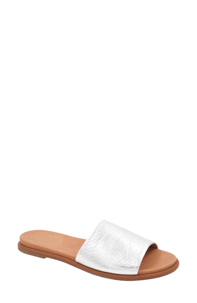 André Assous Fran Slide Sandal in Silver Cover