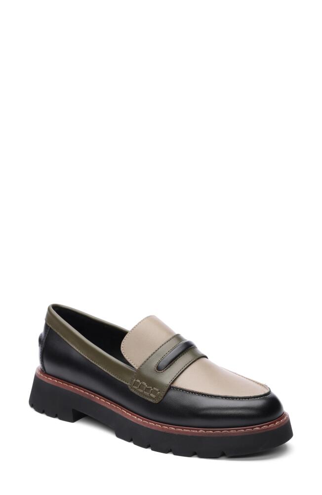 Sanctuary Westside Loafer in Black/Olive Cover