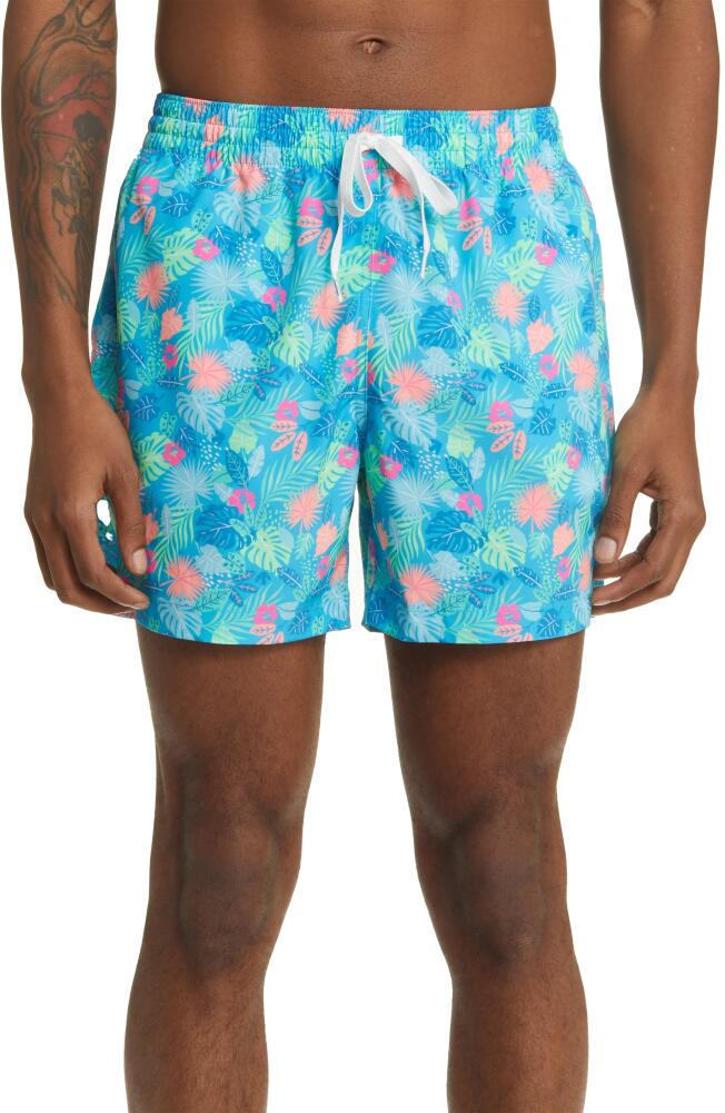 Chubbies The Apex Swimmers Swim Trunks in The Wild Tropics Cover