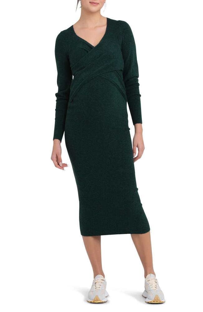 Ripe Maternity Heidi Long Sleeve Maternity/Nursing Dress in Forest Cover