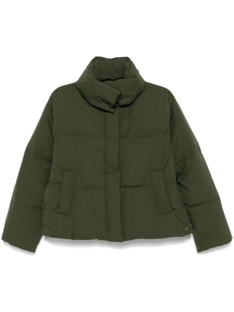 ASPESI Laryn jacket - Green Cover