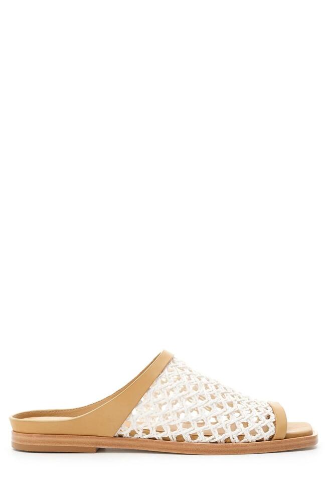 Daniella Shevel Alba Sandal in White Cover