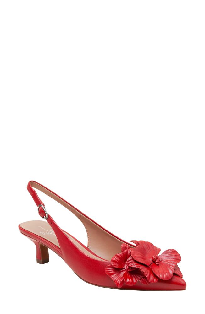 Linea Paolo Castiel Slingback Pointed Toe Kitten Heel Pump in Lipstick Red Cover