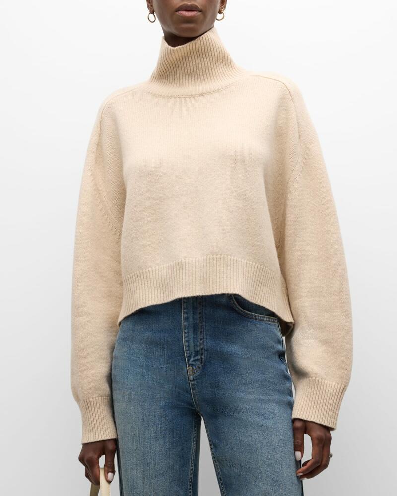 Vanessa Bruno Ballerine Turtleneck Wool Sweater Cover