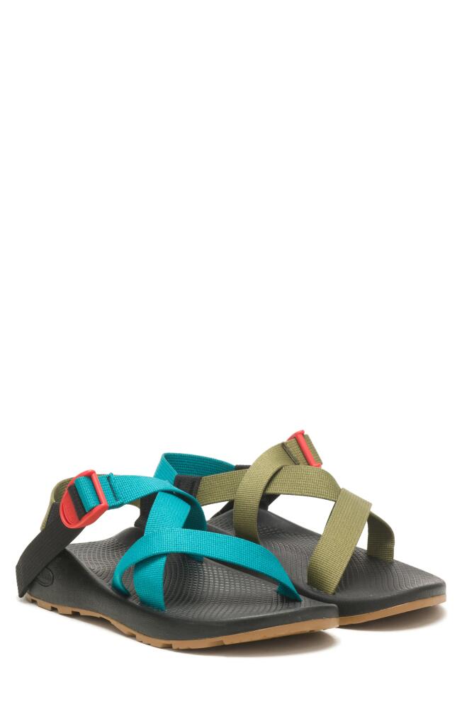 Chaco Z1 Classic Sandal in Teal Avocado Cover