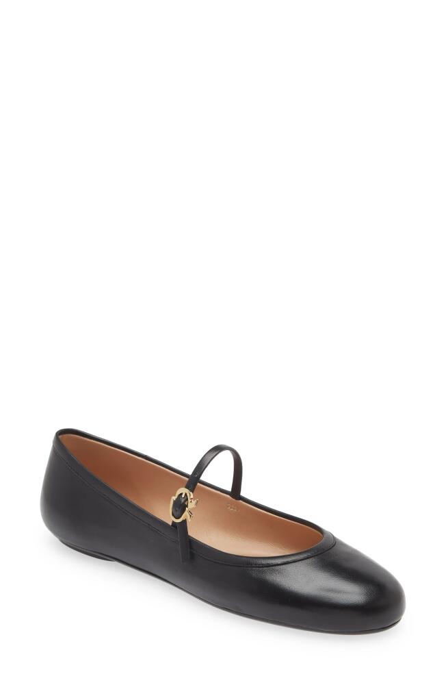 Gianvito Rossi Carla Mary Jane Ballet Flat in Black Cover