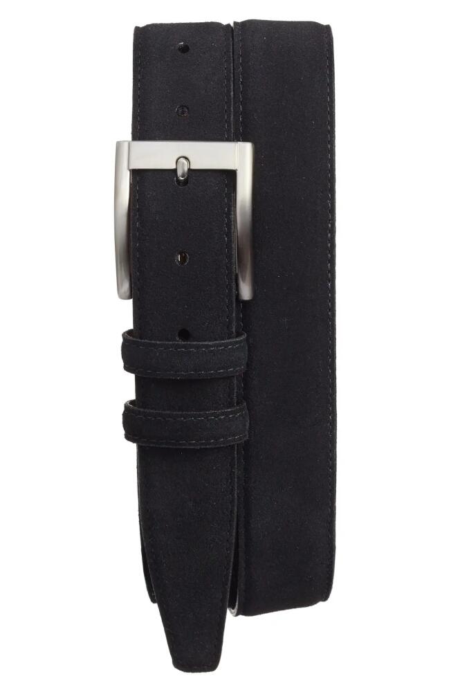 Torino Suede Belt in Black Cover