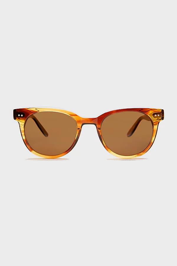 Sunglass Museum Darcy Round Polarized Sunglasses in Honey Tortoise/Brown Cover