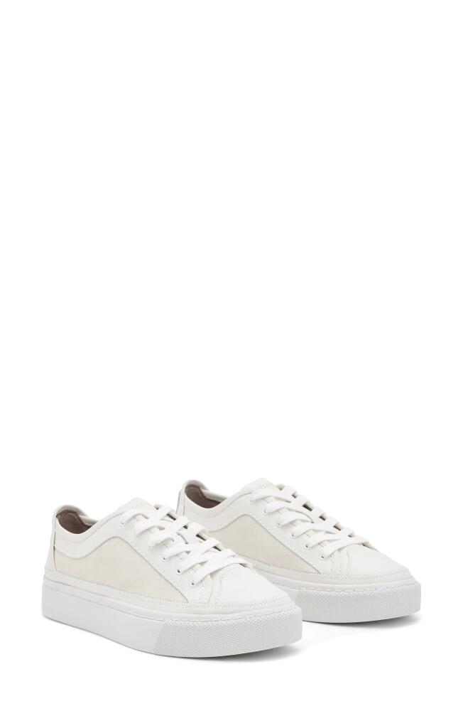 AllSaints Milla Platform Sneaker in Chalk White Cover