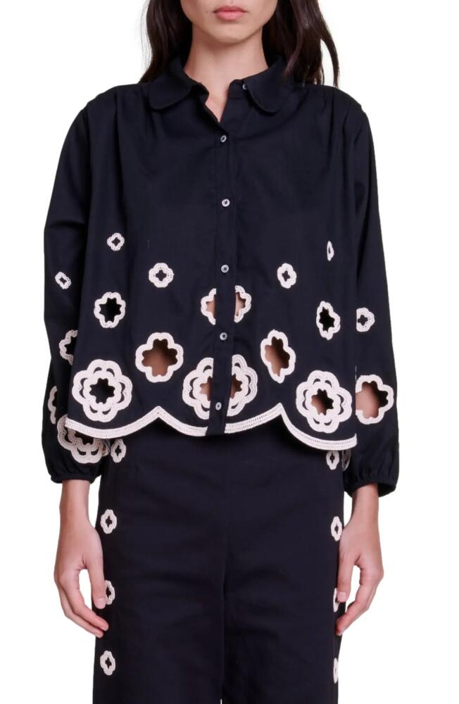 maje Raie Crochet Accent Button-Up Cotton Shirt in Black Cover