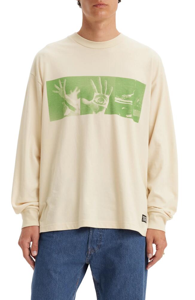 levi's Skateboarding Boxy Long Sleeve Graphic T-Shirt in Roemello Hands Green Cover