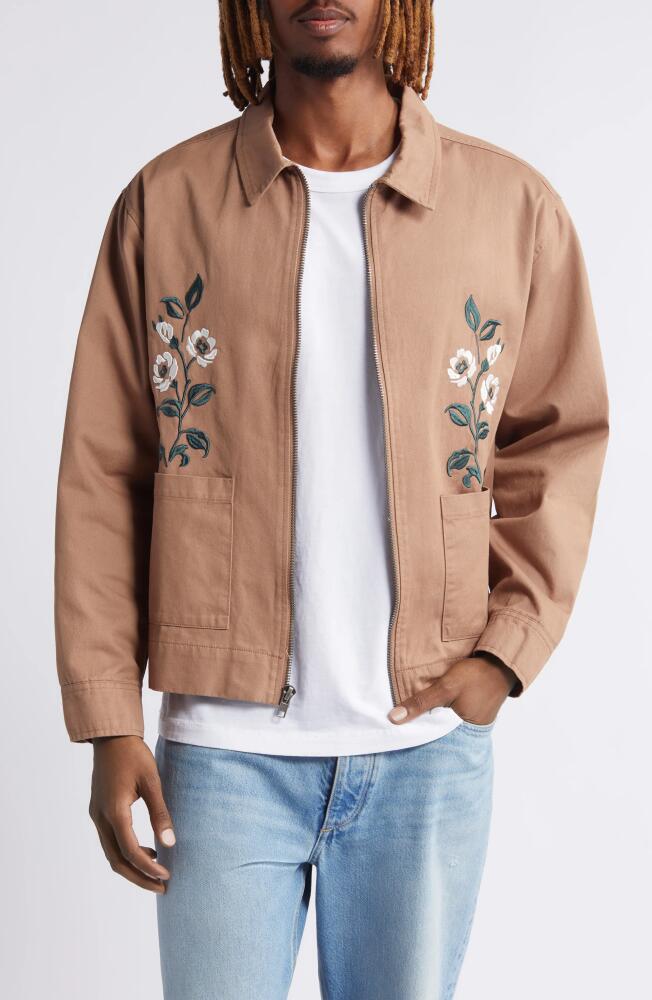 PacSun Floral Embroidered Cotton Jacket in Desert Taupe Cover