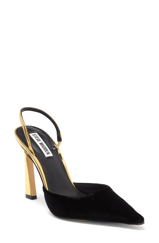 Steve Madden Drew Slingback Pointed Toe Pump in Black/Gold Cover