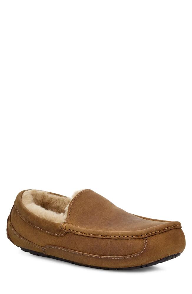 UGG(r) Ascot Leather Slipper in Tan/Tan Cover