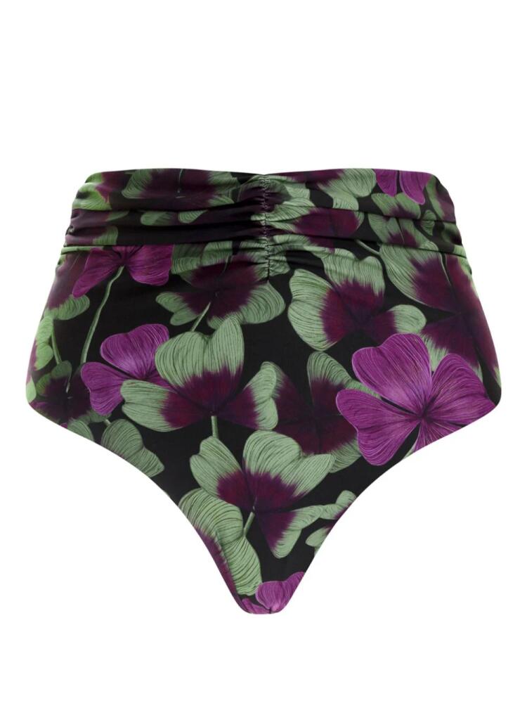 Agua By Agua Bendita floral-print ruched bikini bottoms - Black Cover