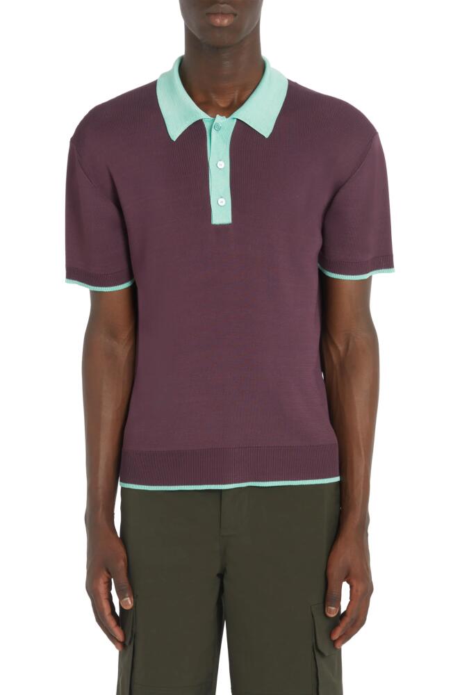 Valentino Contrast Tipped Polo Sweater in Rubin/Ice Mint Cover