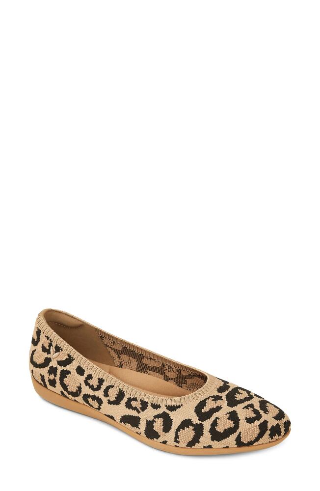 VIVAIA Water Repellent Knit Flat in Dark Leopard Cover