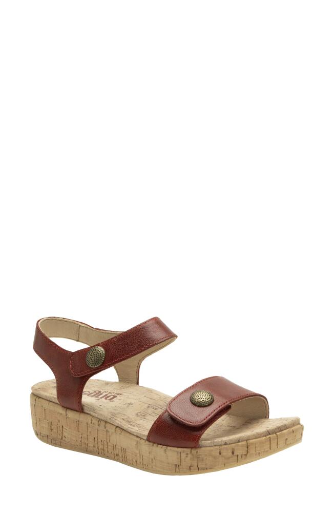 Alegria by PG Lite Marta Ankle Strap Platform Wedge Sandal in Garnet Cover