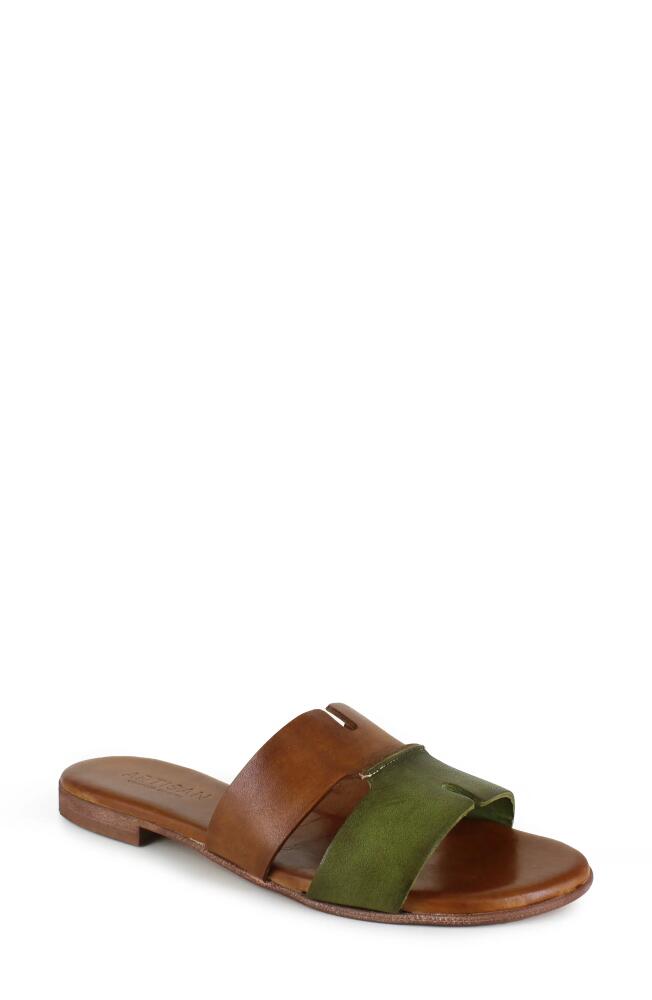 Artisan Crafted By Zigi Allony Leather Flat in Multi Brown/Green Cover