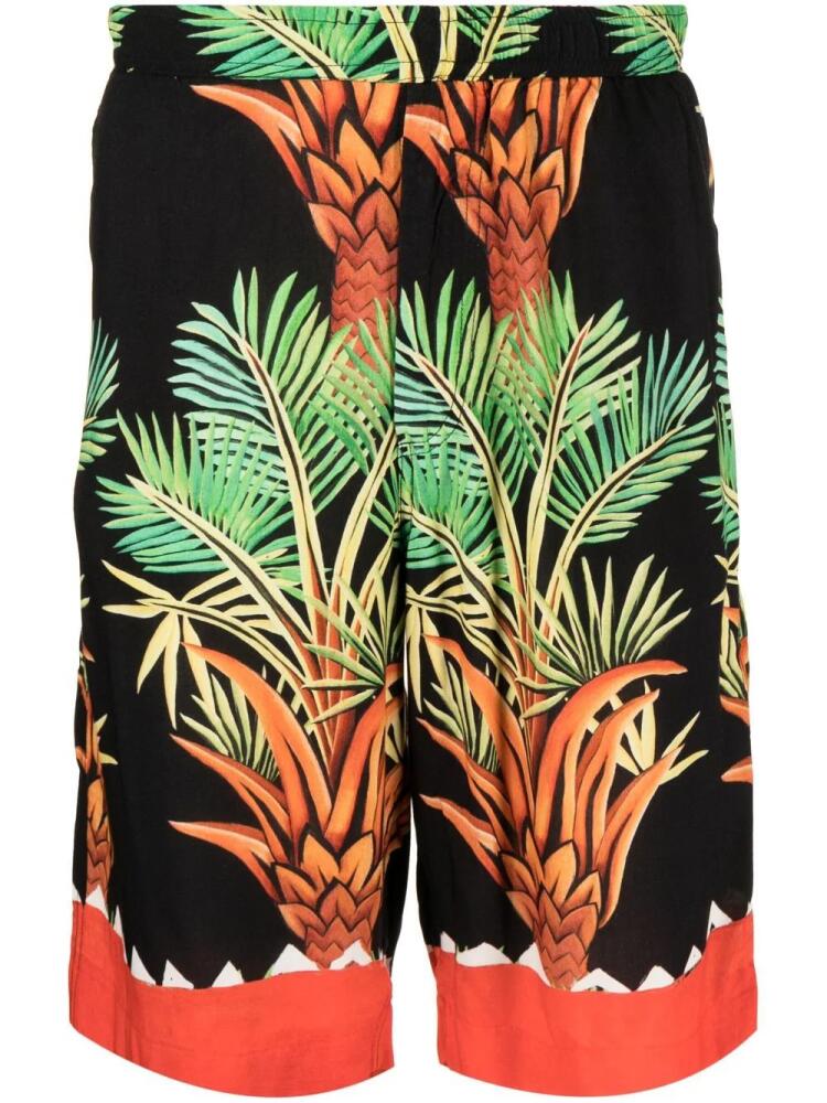 Endless Joy Date Palm motif-print Bermuda shorts - Green Cover