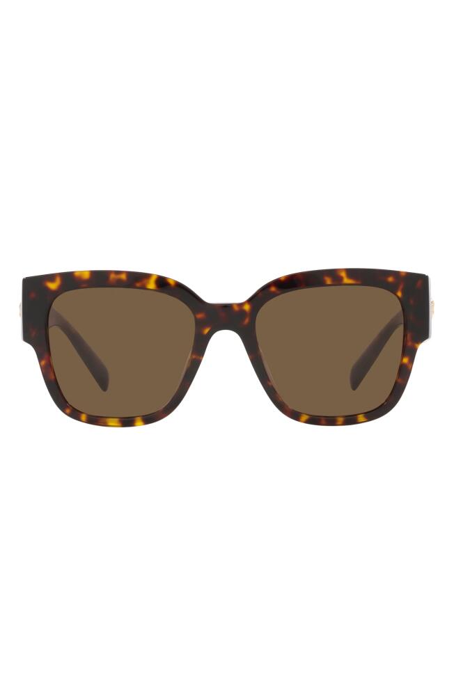 Versace 54mm Pillow Sunglasses in Havana Cover