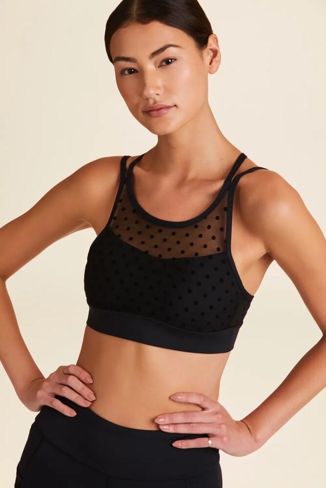 ALALA Mirage Cami Bra in Tulle Dot Cover