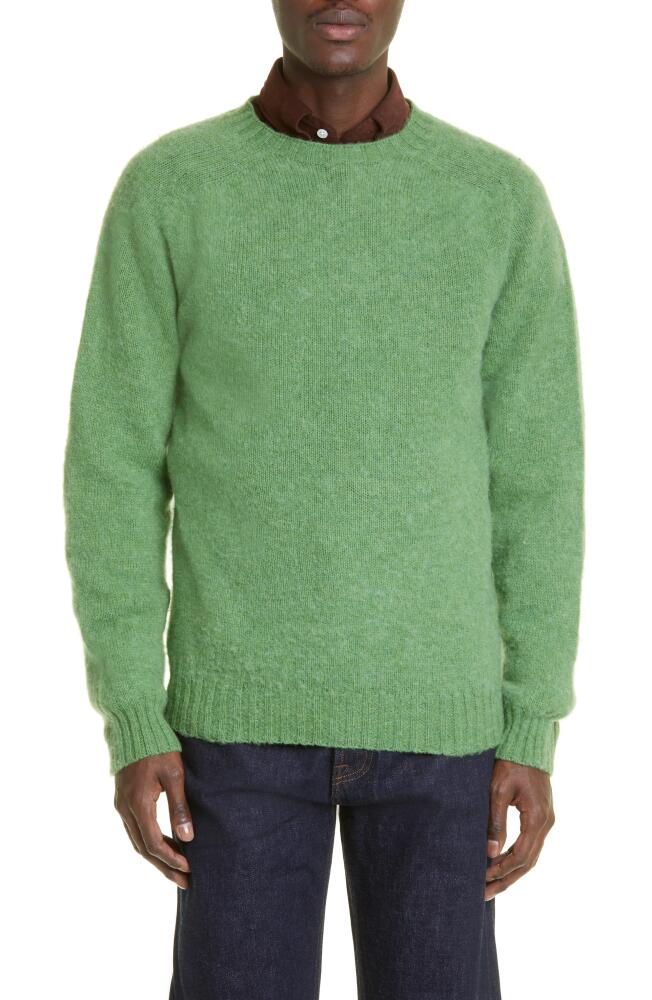 Drake's Brushed Lambswool Crewneck Sweater in Green Cover