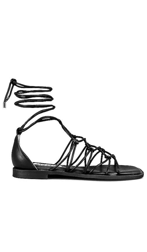 Steve Madden Ainsley Sandal in Black Cover