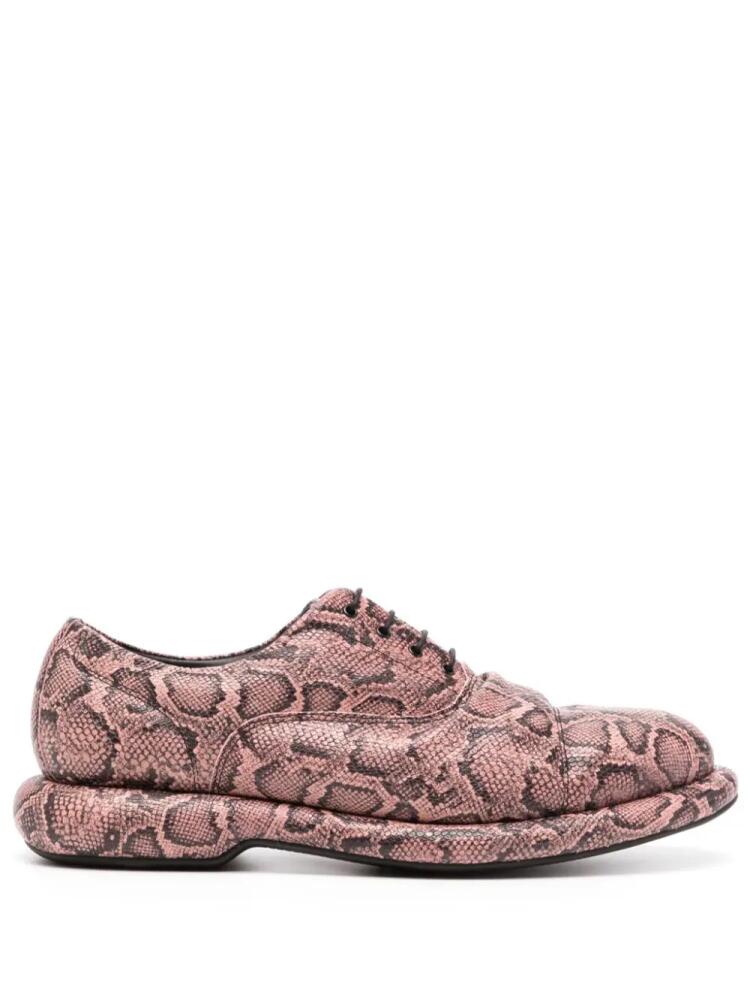 Martine Rose snake-print leather oxford shoes - Pink Cover