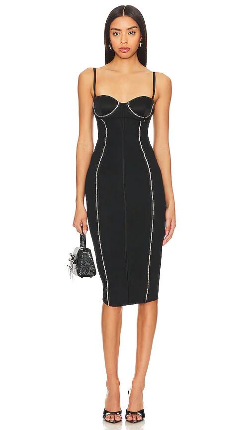 fleur du mal Brilliant Mesh Bustier Dress in Black Cover