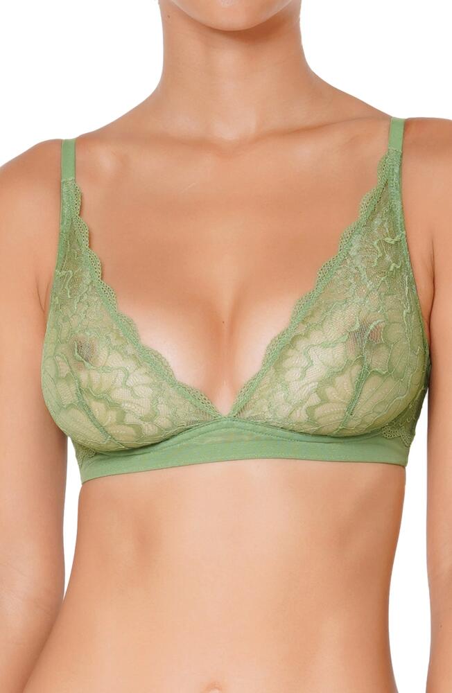 Huit Lenna Green Lace Bra Cover