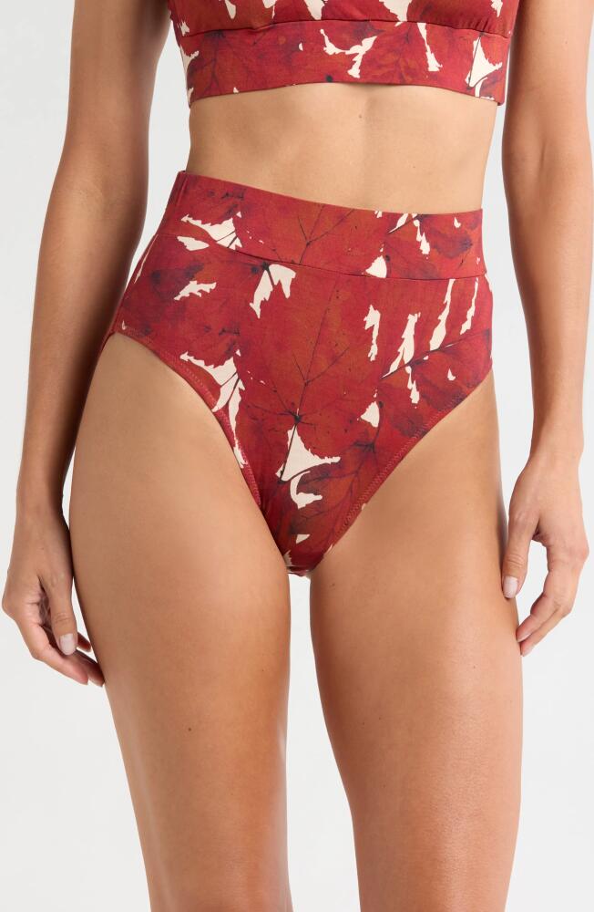 KILO BRAVA Lounge High Cut Briefs in Fallen Leaves Cover