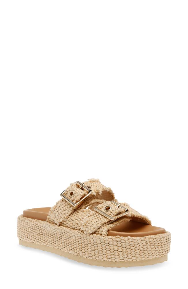 Steve Madden Karrigan Raffia Platform Slide Sandal in Nat Raffia Cover