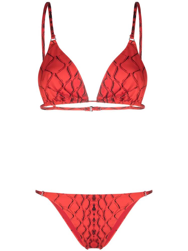 Noire Swimwear Snake Tanning bikini - Red Cover