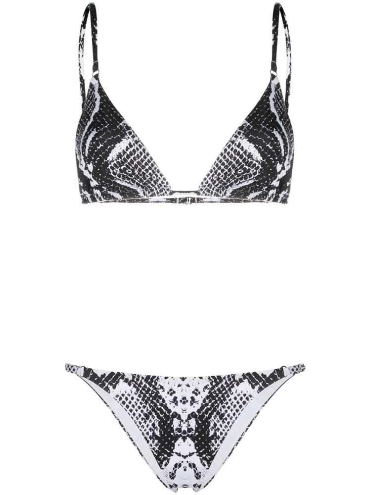 Noire Swimwear Snake Tanning bikini - Black Cover