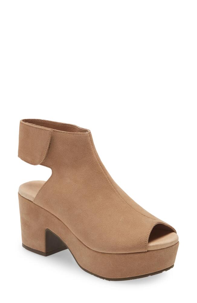 Chocolat Blu Gabby Block Heel Sandal in Tan Suede Cover