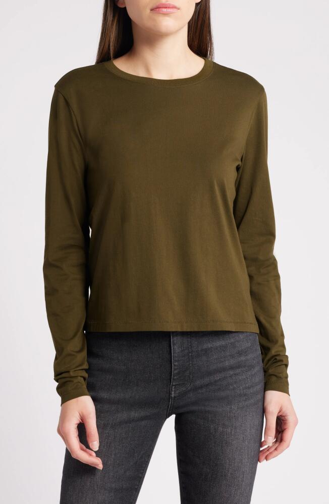 FRAME Cotton Crewneck Top in Rich Military Cover