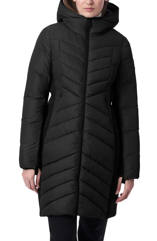 Bernardo Chevron Quilted Puffer Coat in Black Cover