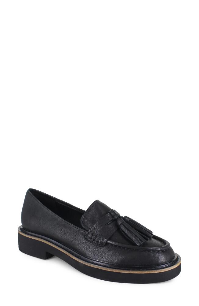 Splendid Caio Penny Loafer in Black Cover